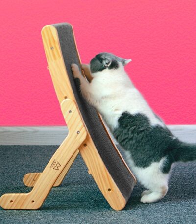 cat scratching board